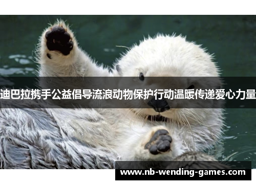 迪巴拉携手公益倡导流浪动物保护行动温暖传递爱心力量 迪巴拉携手公益倡导流浪动物保护行动温暖传递爱心力量