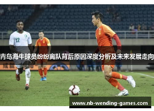 青岛海牛球员纷纷离队背后原因深度分析及未来发展走向